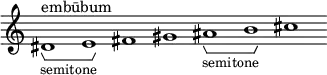 \new Staff \with { \consists Horizontal_bracket_engraver \remove "Time_signature_engraver" \remove "Bar_engraver" }
\relative c' {
dis1^"embūbum" -\tweak HorizontalBracketText.text "semitone" \startGroup e\stopGroup fis gis ais-\tweak HorizontalBracketText.text "semitone"\startGroup b\stopGroup cis }