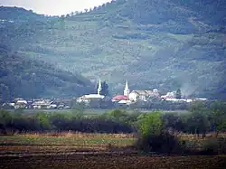 View of Braniștea village