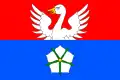 Flag of Čáslavice