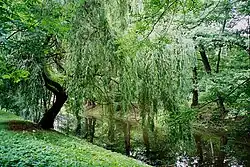 City Park
