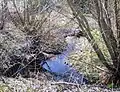 Šakupulis rivulet
