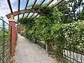 Garden walking trail