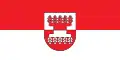 Flag of Šilalė district municipality