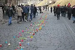 Flowers laid out on Instytutska Street in honour of the fallen of Euromaidan. 24 February 2014