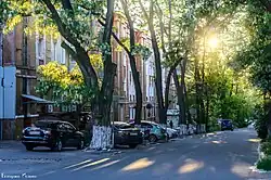 Image of a neighborhood street with sun shining through acacia trees that line the sidewalk. Cars are parked along the street with apartments on one side.