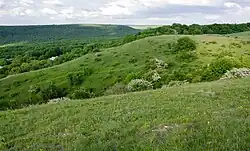 Besputskaya Glade, Shpakovsky District