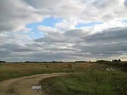 Landscape in Gavrilo-Posadsky District