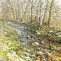 Весенний ручей. Холст, масло, 2011.[4]