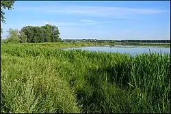 Volga River, Kostromsky District