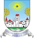 Nemansky District