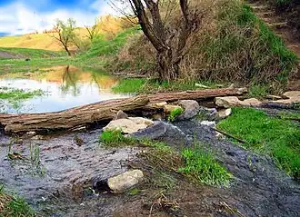 Zalizna Balka near Horlivka