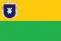 Flag of Nosivka