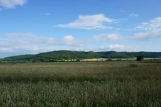 Roztochchia landscape near Krekhiv