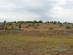 Landscape in Nikolayevsky District