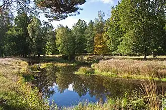 Ubort River near the city of Olevsk (Zhytomyr Oblast, Ukraine)