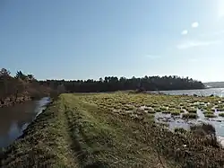 Wetlands near Yavoriv, Ukraine