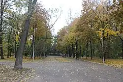 One of the park's alleys in 2015