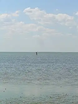 Illustration of the shallowness of water in the Syvash