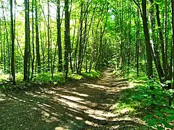 Nizhny Novgorod Volga Region NP