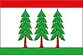 Flag of Yelninsky District