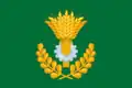 Flag of Zhiryatinsky District