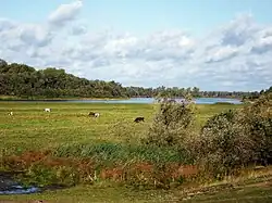 Chulym River, Bolsheuluysky District