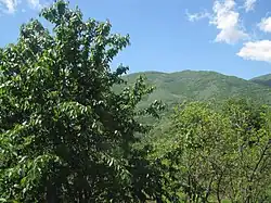 Scenery