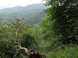 Nature around Gadzakar