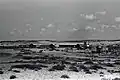 Mikhmoret 1947