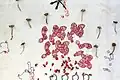 Invasive Plants, glass and embroidery
