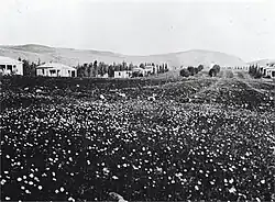 Kfar Giladi 1930