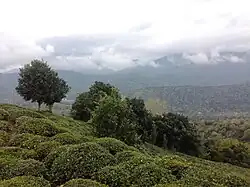 Landscape near the village of Tabestan Neshin