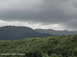 Forests of Otaqvar