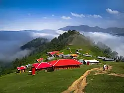 Masal Tasko
