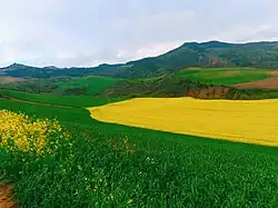 Nature of the Azizabad village