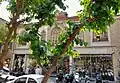 Historic building on Lalehzar street, 2023