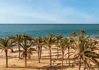 Beach in the city of Arish