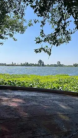 The Nile in El-Forostoq, Basyoun