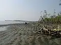 The beach