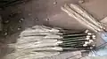 Brooms made of this tree, being sold in Hosur, Tamil Nadu, India