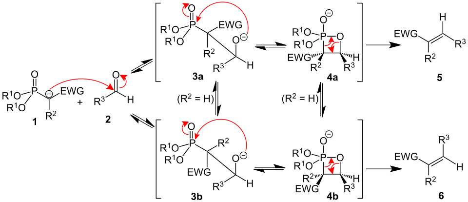 The mechanism of the Horner-Wadsworth-Emmons reaction