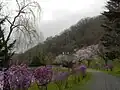 Honbetsu Park