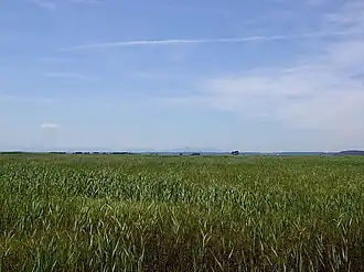 Hotokenuma
