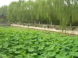 Beigong National Forest Park