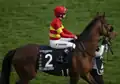 Hong Kong Cup
