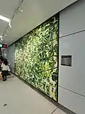 Line 6 platform culture wall 2