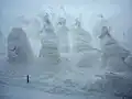 Snow monsters up close