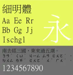 Sample of MingLiU (細明體), monospaced Latin characters.
