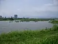 Taipei Wild Goose Reserve