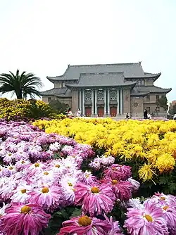 Chrysanthemum and Henan University Auditorium